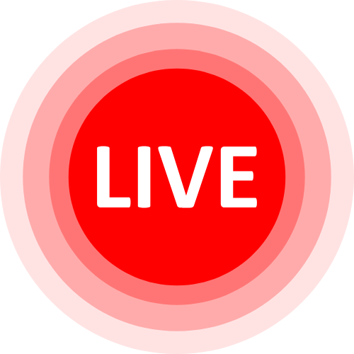 Gay Stripchat Com